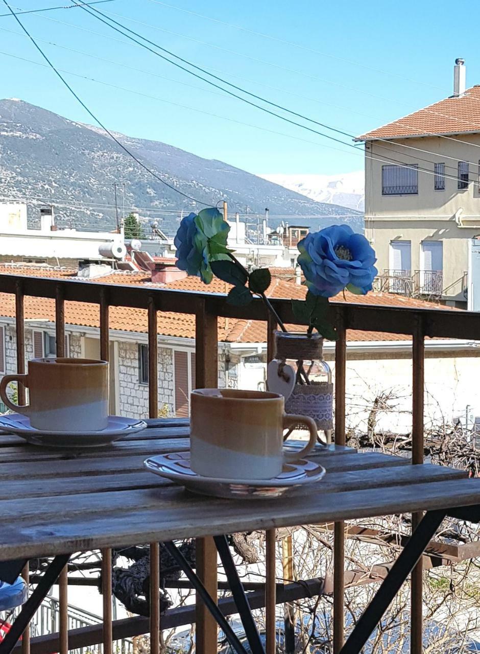 Liberty Ιωαννινα Vila Ioannina Exterior foto